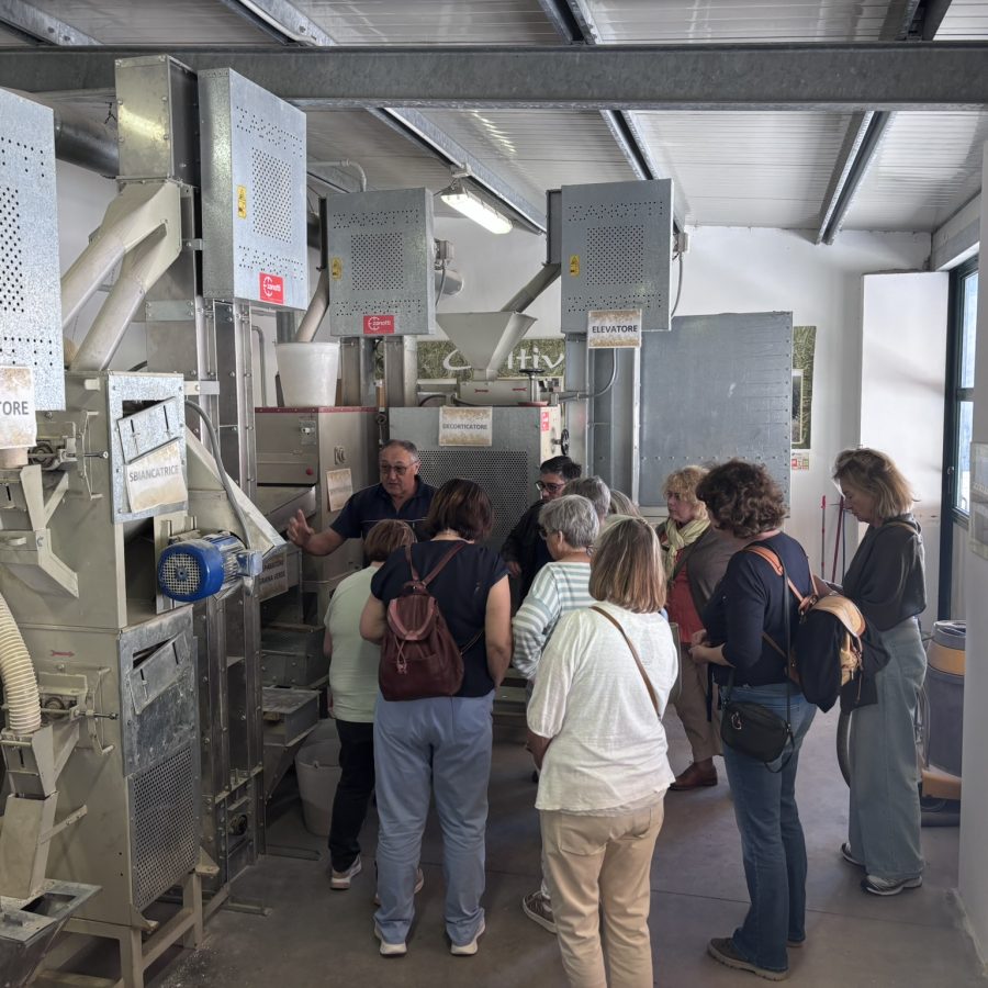 Visitatori tra i macchinari della riseria durante la lavorazione
